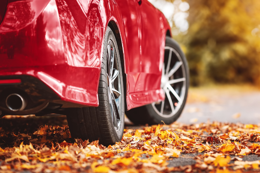 car in fall leaves